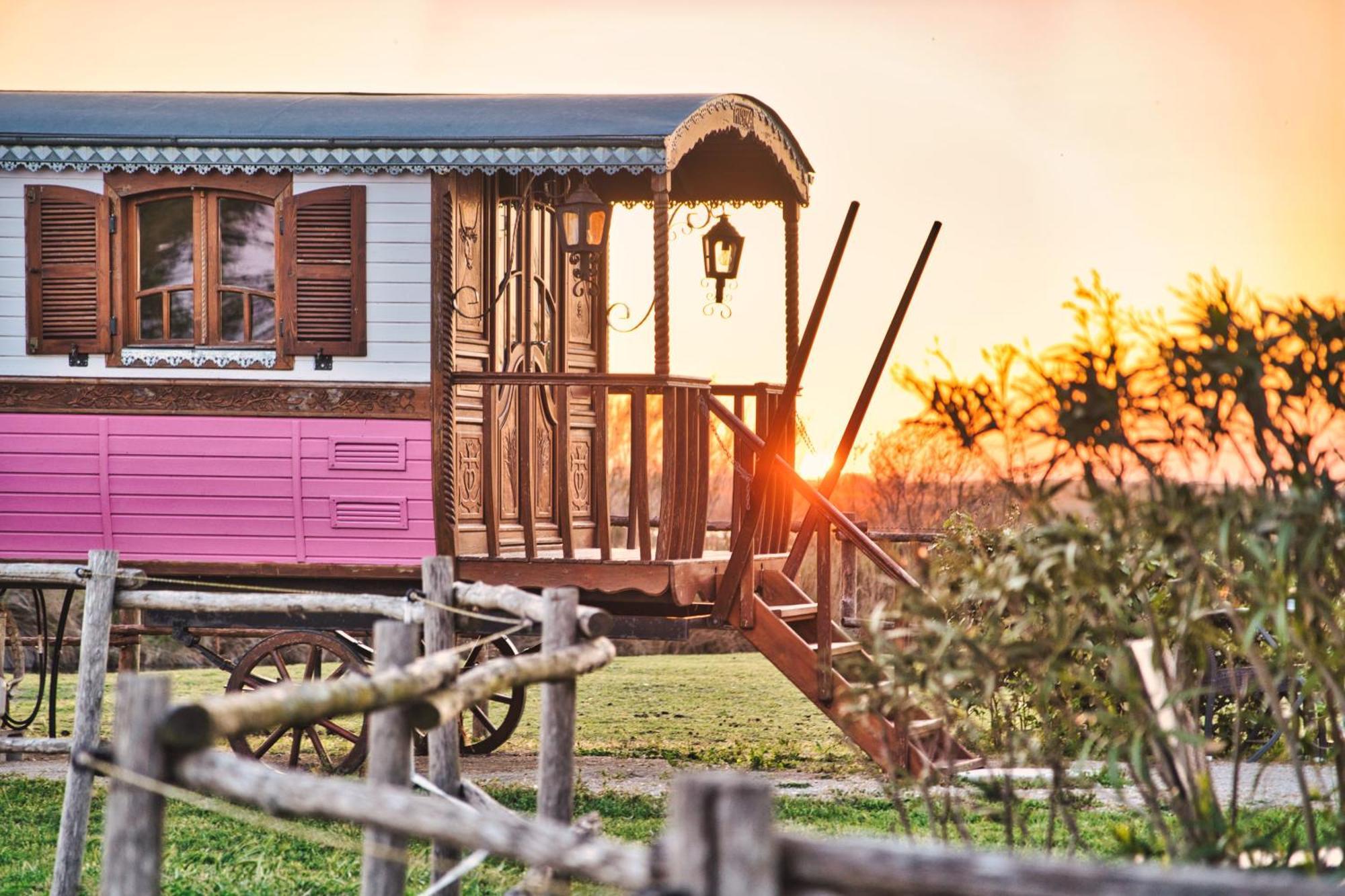 Hotel Mas De Calabrun Saintes-Maries-de-la-Mer Zewnętrze zdjęcie