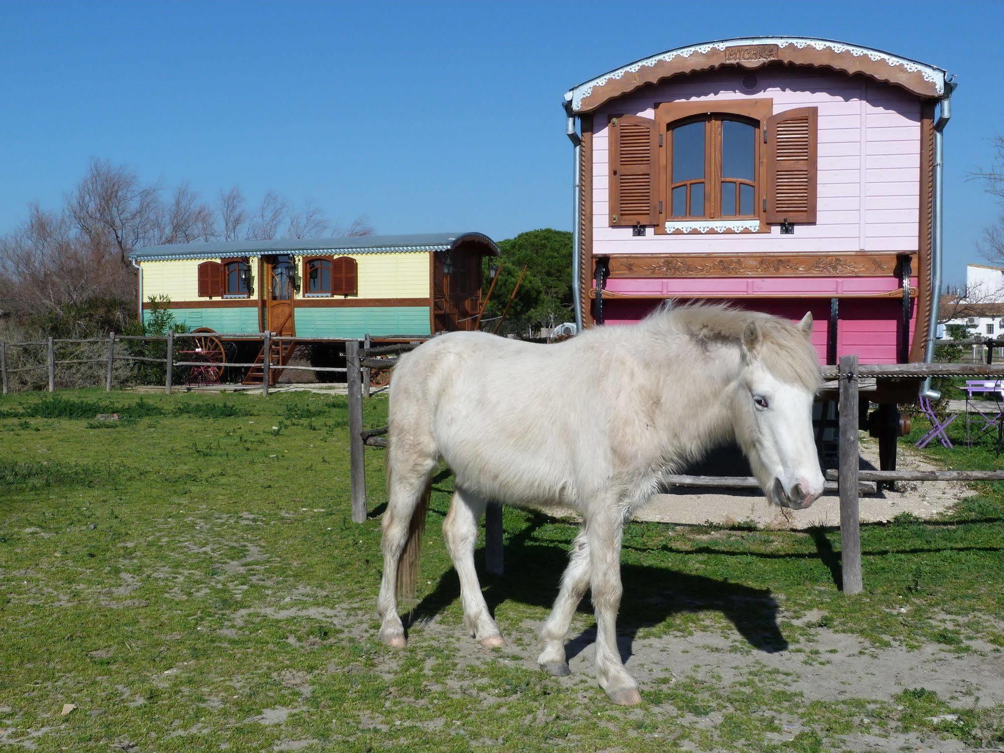 Hotel Mas De Calabrun Saintes-Maries-de-la-Mer Zewnętrze zdjęcie