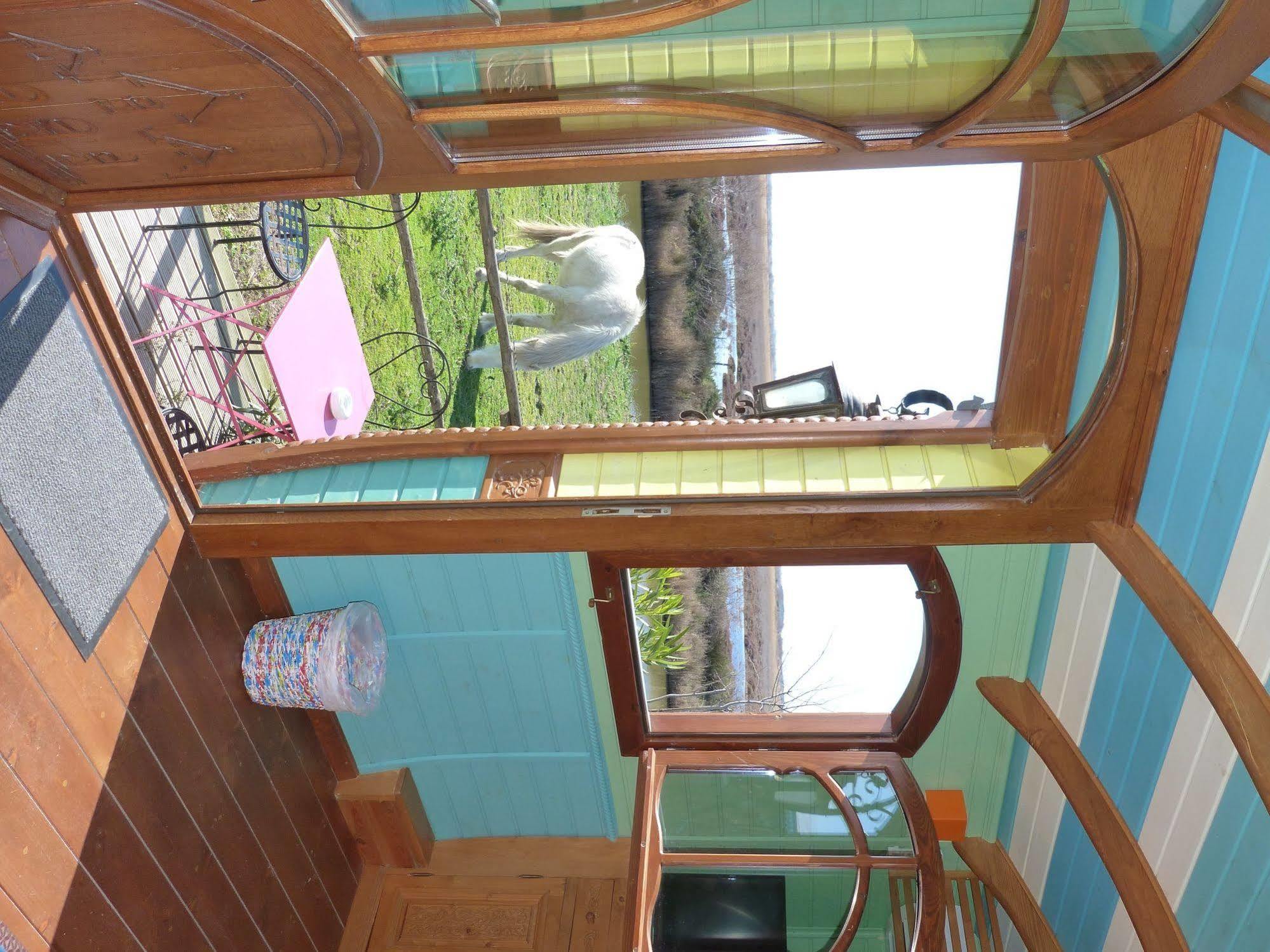 Hotel Mas De Calabrun Saintes-Maries-de-la-Mer Zewnętrze zdjęcie